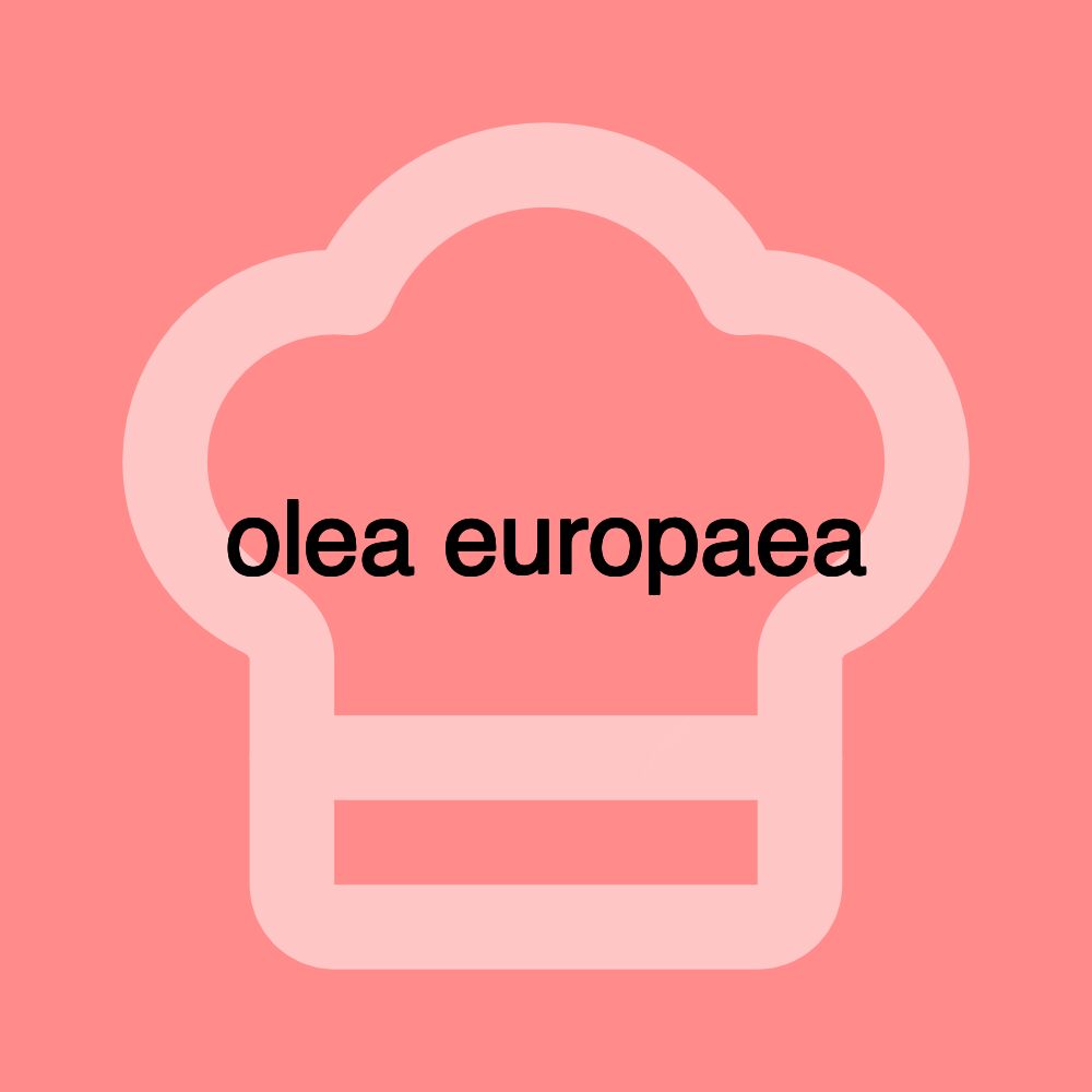 olea europaea