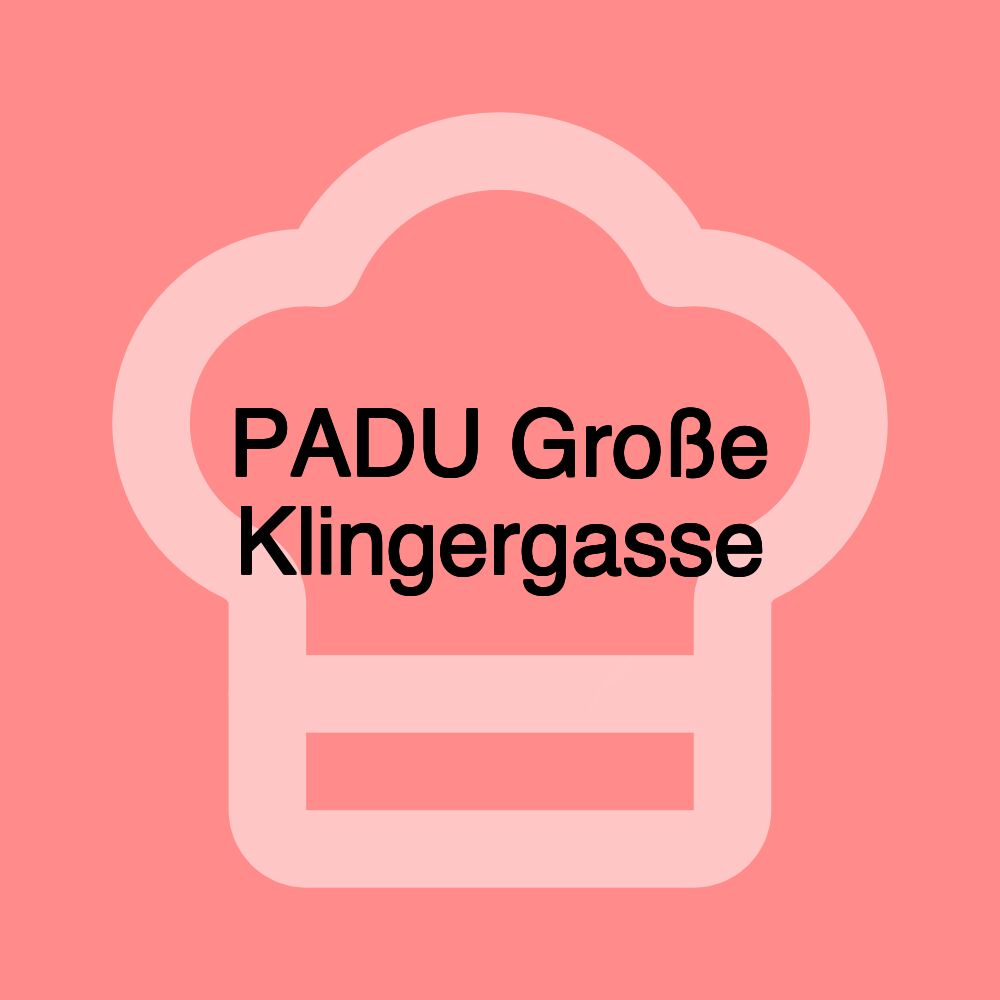 PADU Große Klingergasse